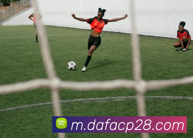 大发彩票官网平台生态图