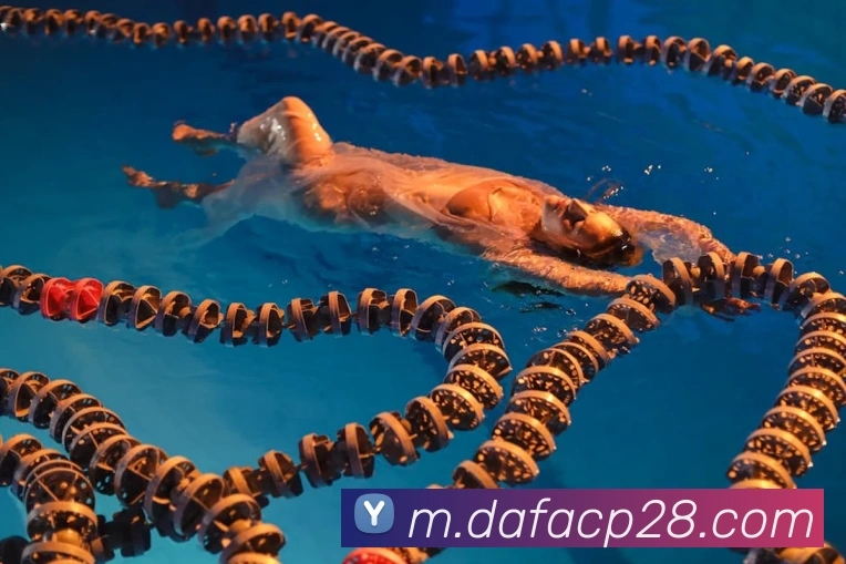 大发彩票官网APP 封面图